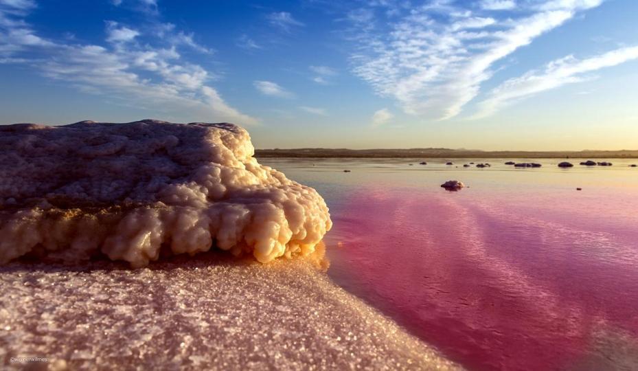 Corazon Del Mar Daire Torrevieja Dış mekan fotoğraf