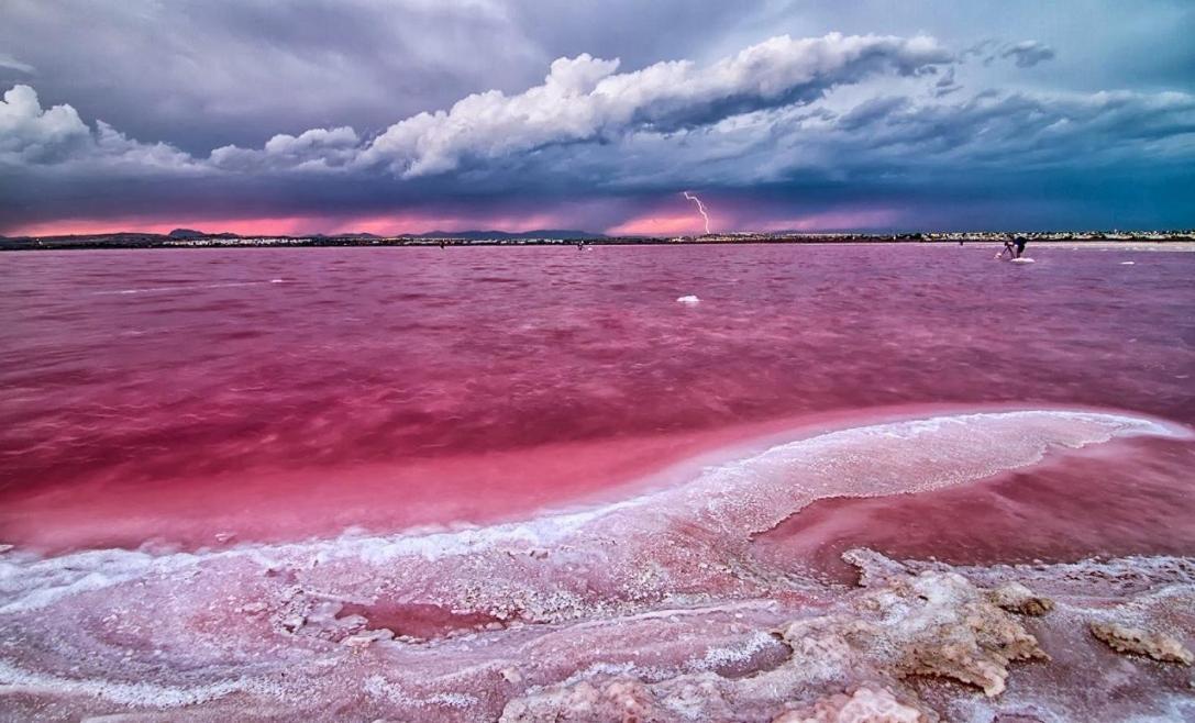 Corazon Del Mar Daire Torrevieja Dış mekan fotoğraf